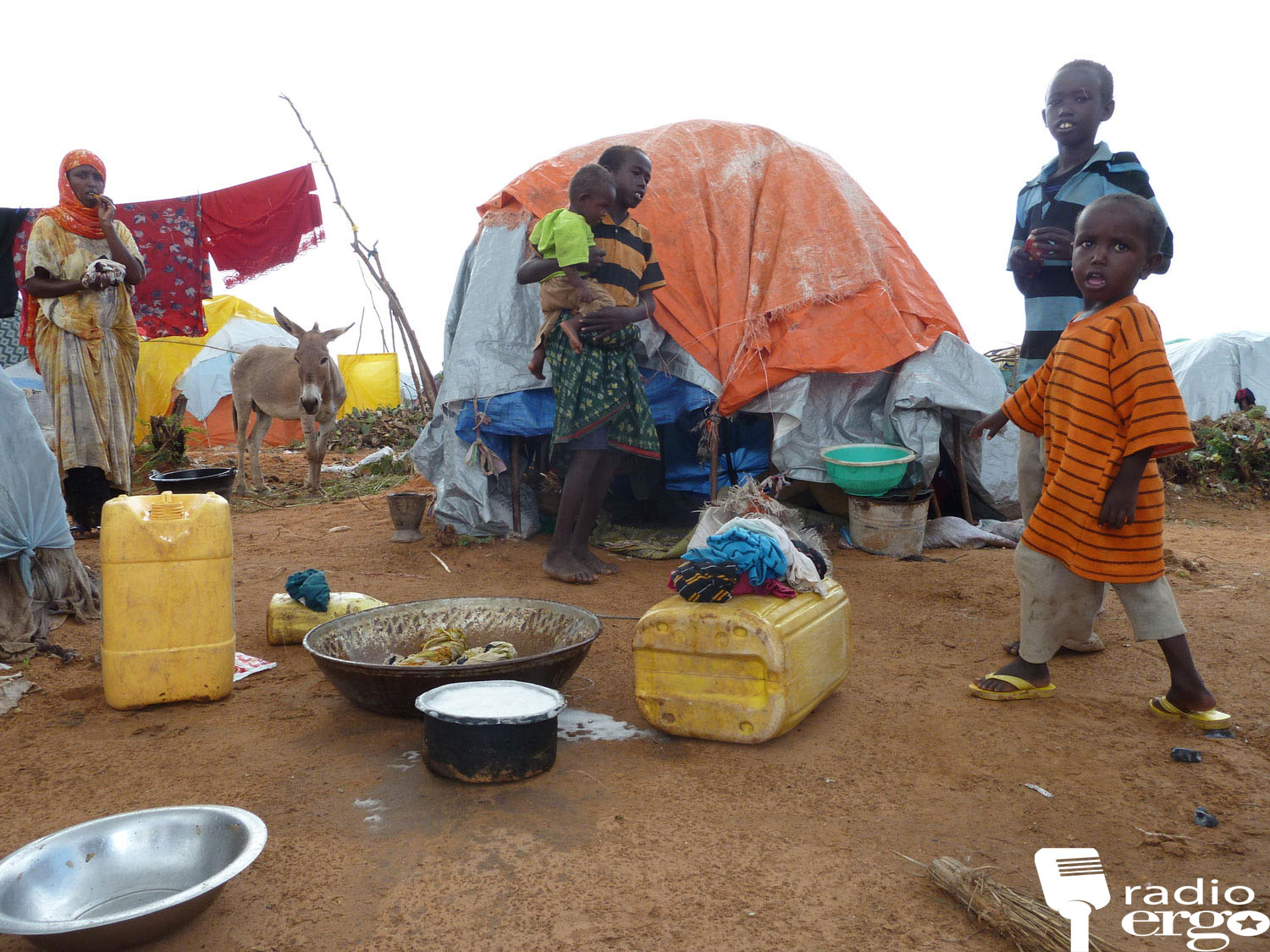 Barakacayaal codsday in dib loogu celiyo deegaannadooda