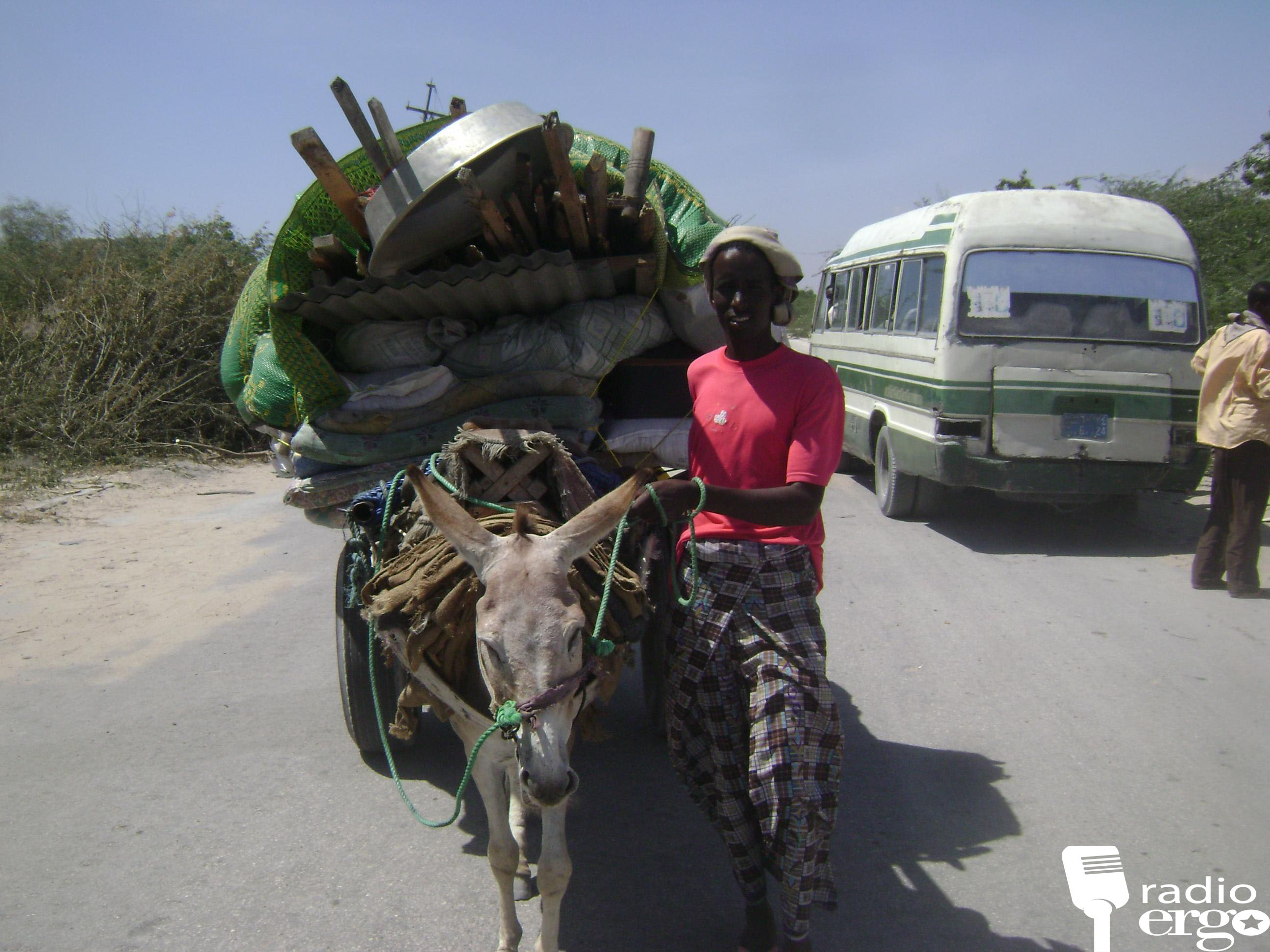 Wasiirka arrimaha gudaha: Bannaynta guryaha dawladda ayaa dhinaca kalena keeni karta kororka tirada barakacayaasha