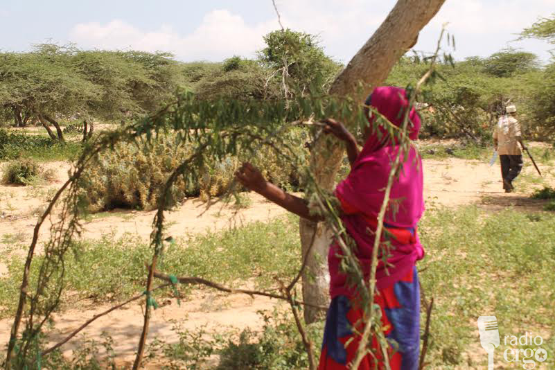 Barakac ka taagan duleedada muqdisho