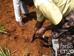 HAWEENKA IYO DOORKA BEERASHADA