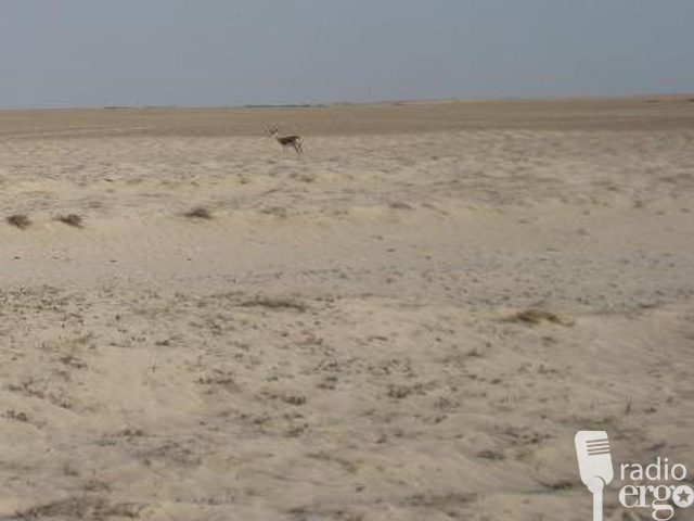 NABAAD GUURKA MUDUG WUXUU MARAYAA QAYLO- DHAAN