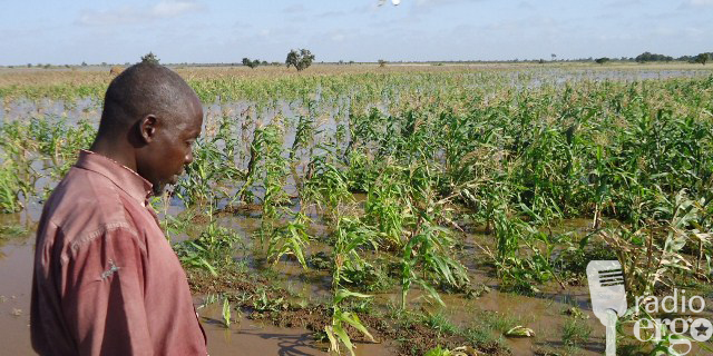 DADKA REER JAWHAR OO KA CABSI QABA IN FATAHAADDA WEBIGU AY SII KORORTO