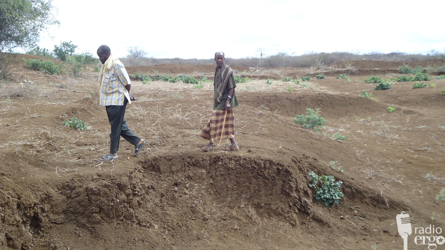 BIYO LA`AAN KA JIRTA DEEGAANNO HOOS-TAGA DEGMADA BAYDHABO