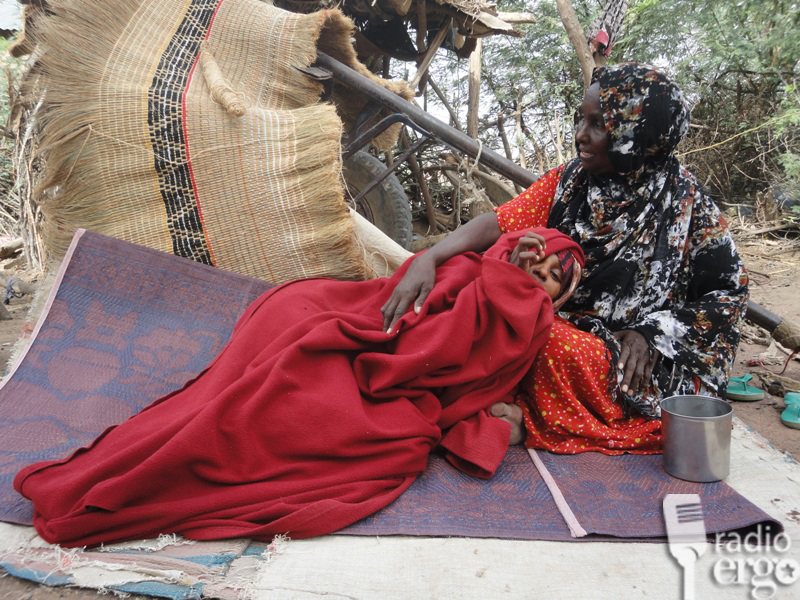 CUDUR AAN LA XAQIIJIN NOOCA UU YAHAY OO 11 QOF KU DILAY GOBOLKA HIIRAAN