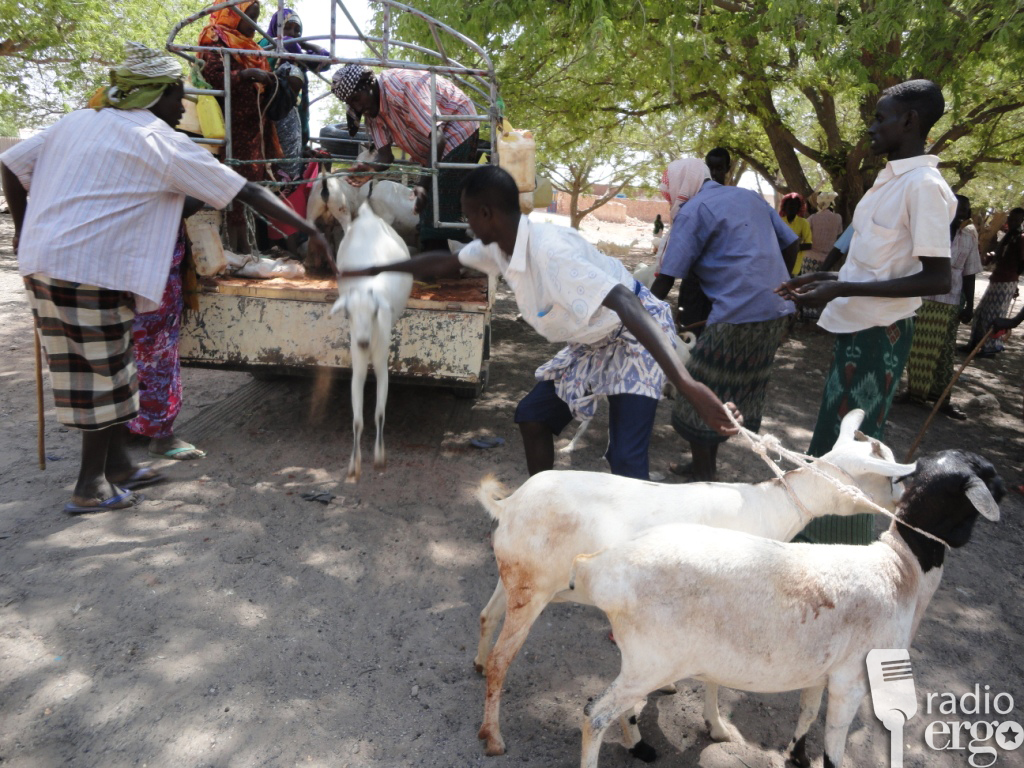 QIIMAHA XOOLUHU KA JOOGAAN MAGALOOYIN DOOR AH TODOBAADKAAN.