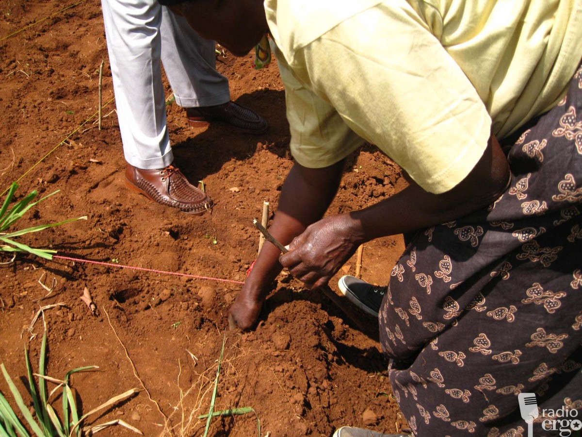 ROOB YARAANTA OO SAAMEYN KU YEELATAY BEERALLEYDA HIIRAAN