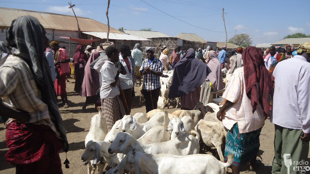 CUDURRO XOOLAHA KU DILAYA GOBOLKA GEDO