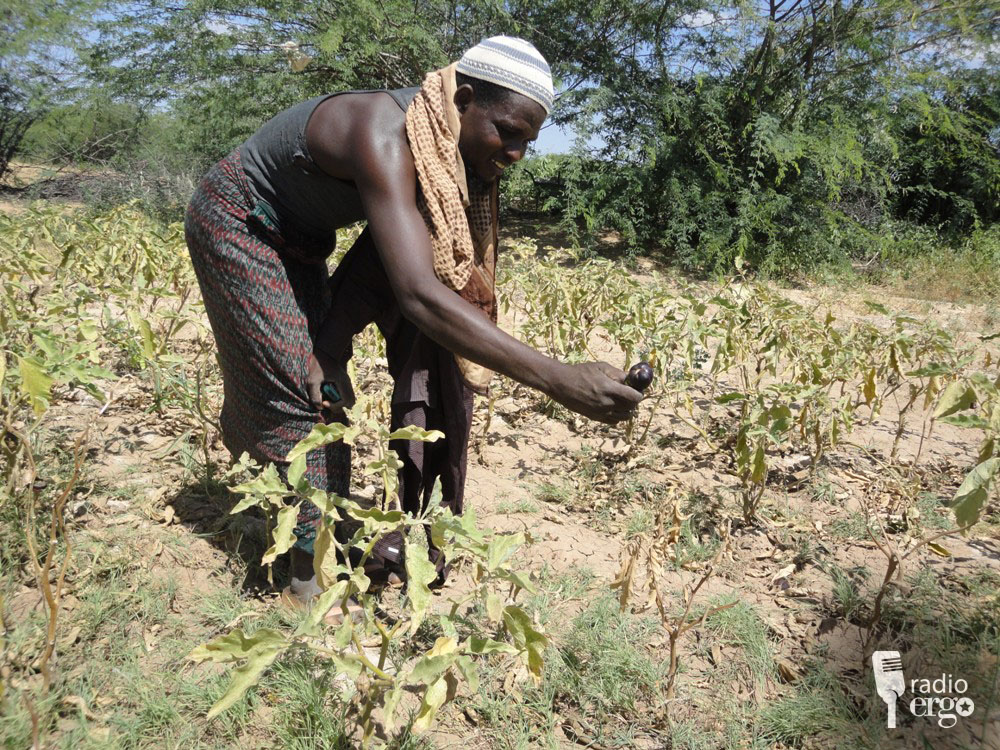 BEERALEYDA HIIRAAN OO KA CABANAYA CAYAYAAN
