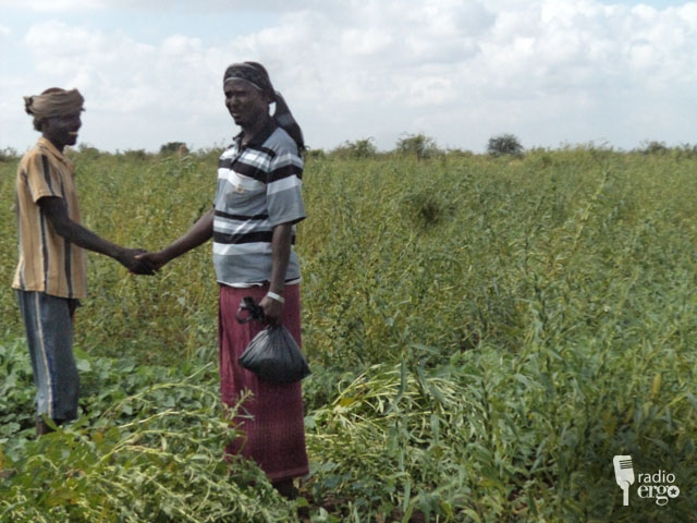BEERAHA YAANYADA EE JOWHAR OO CUDURO BAABI’IYEEN