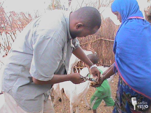 TAKHTAARTIITA XOOLAHA DOOLOW OO SHEEGAYA INAY JIRAAN CUDURO HAYA XOOLAHA