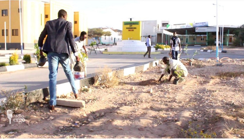 Halkan ka dhegeyso warbixin ku saabsan dhallinyaro dhir ku beereey meelo kala duwan