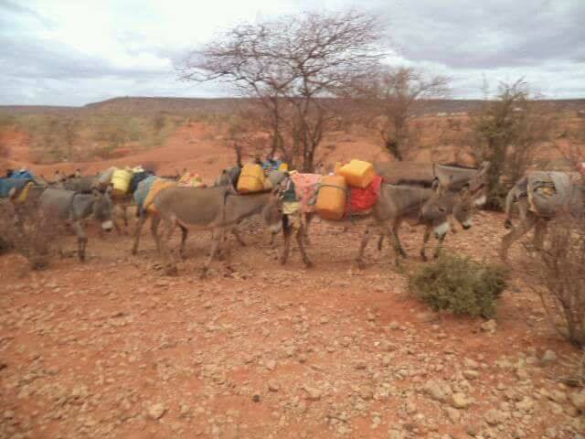 Biyo la’aan ka taagan tuulooyin ka tirsan Garbaharay