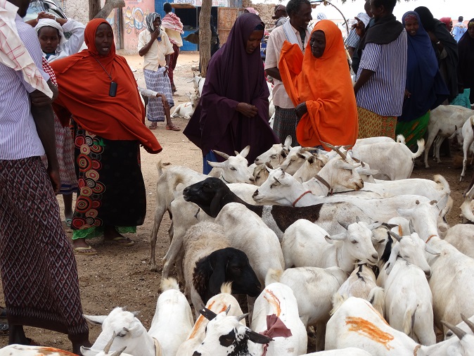 QIIMAHA XOOLAHA EE SUUQYADA SOOMAALIYA