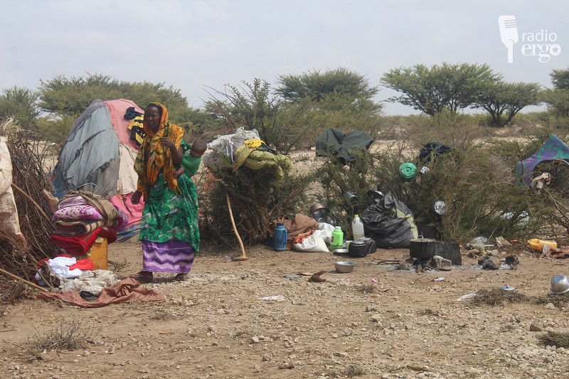 Destitute Somali pastoralists may never return to their rural homes
