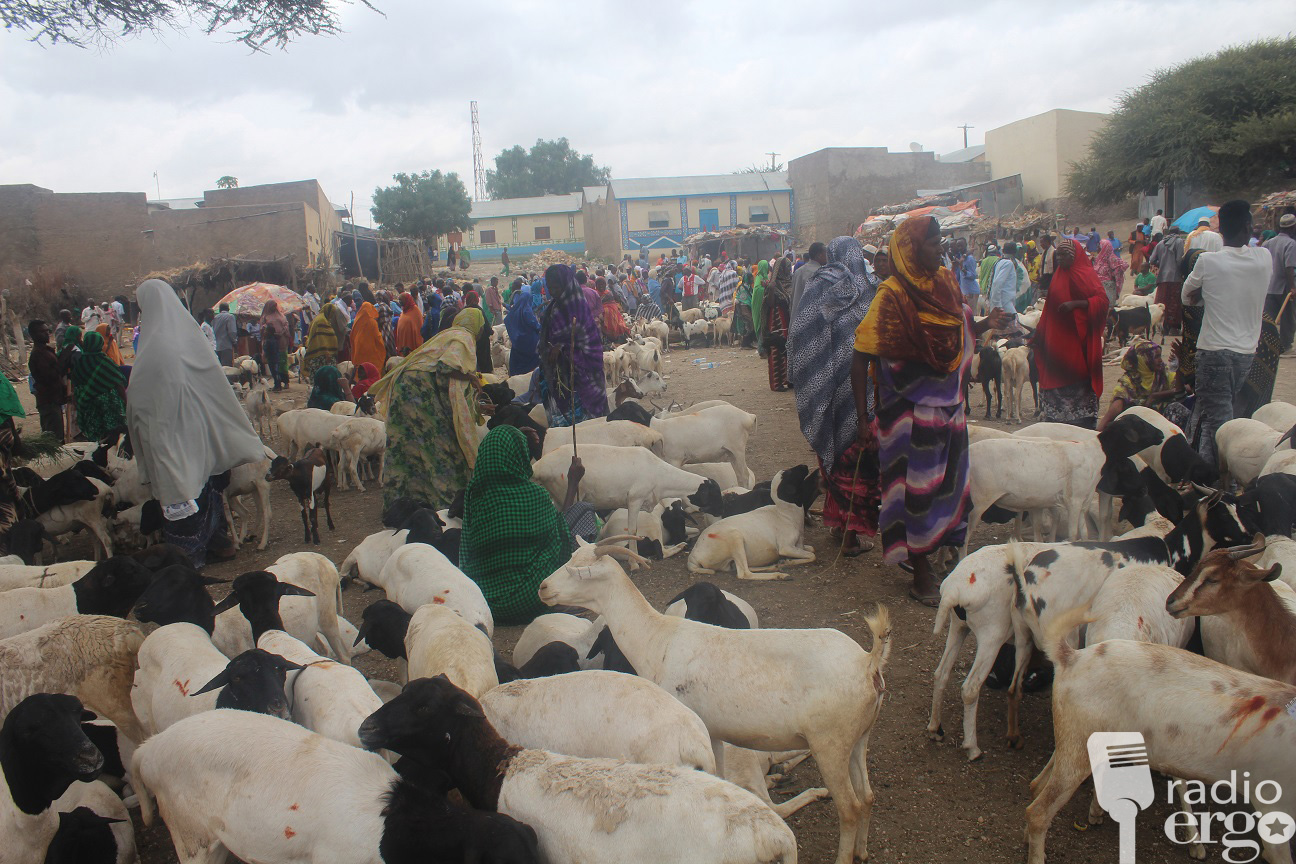 Qiimaha xoolaha ee sayladaha qaar