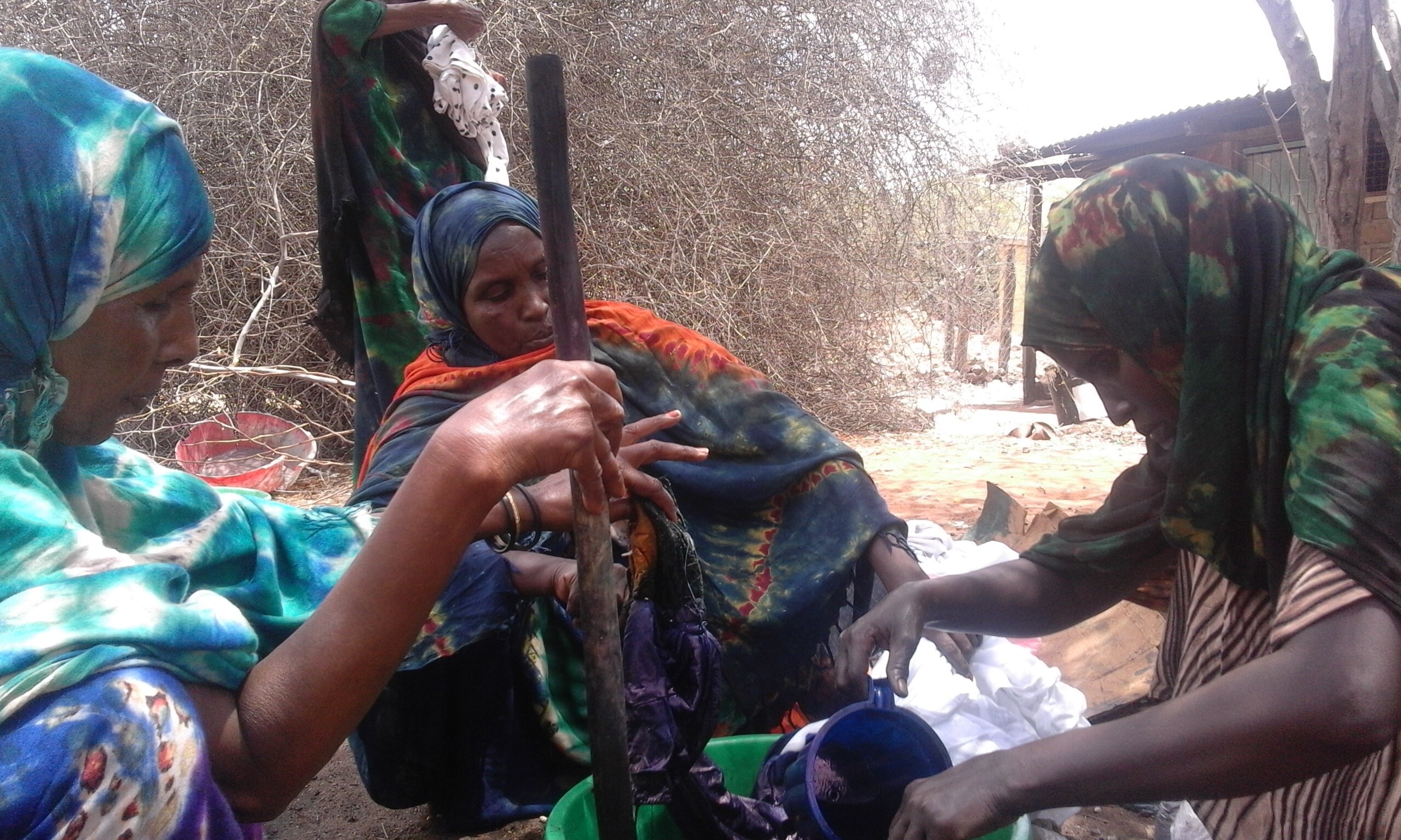 16 arday qaxootiga wax ku baratay oo deeq wax barasho u aaday Kanada