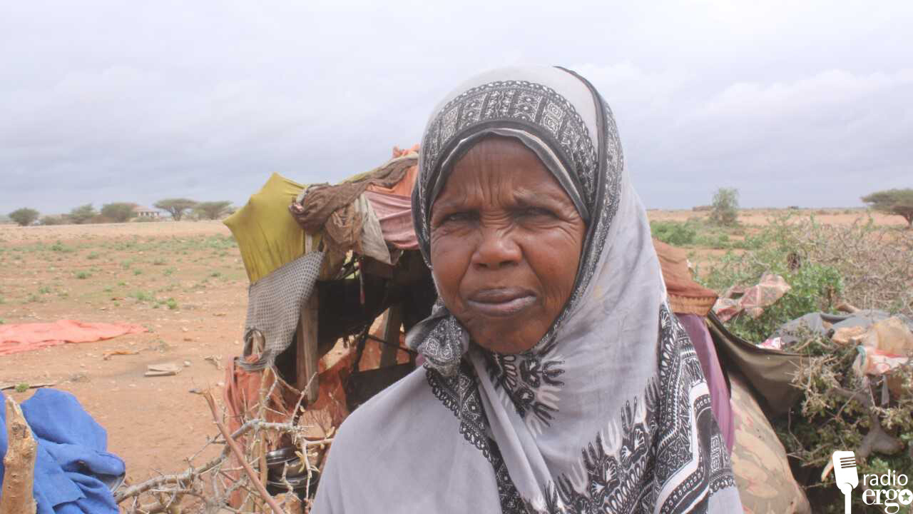 Laascaanood: Haween noolashooda ku maareeya gurista malmalka iyo cawska