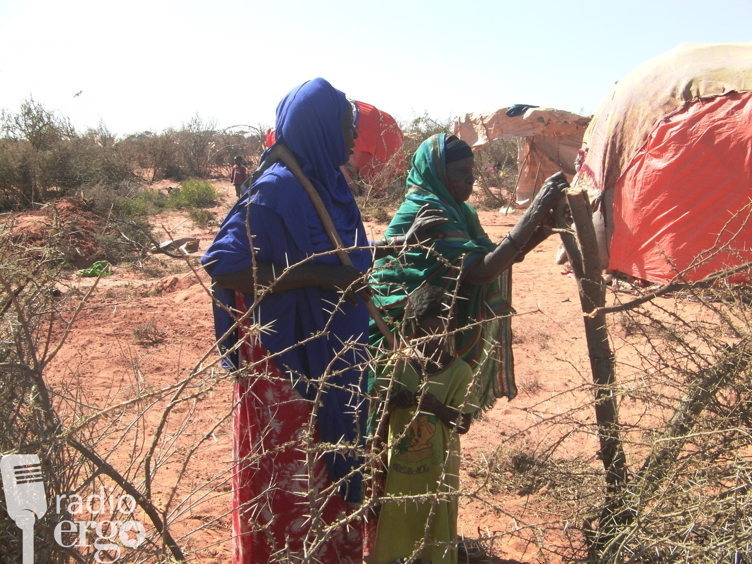 Land given to displaced Somali families in Burao