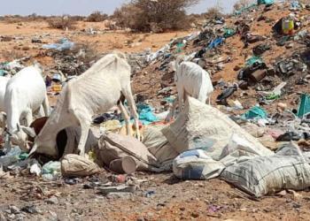 Qashinka laga fogeeyo magaalada oo dhibaato ku haya xoolo-dhaqatada hareeraha Cadaado