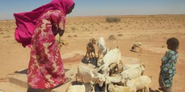 Somalia news, Latest news, Drought, Somali news, Mogadishu live news