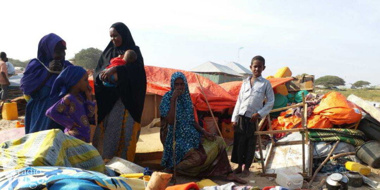IDPs, Somalia, Lasanod, Ergo