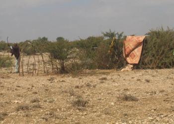 Somalia news, Somali news, Mogadishu live news, Radio Ergo News
