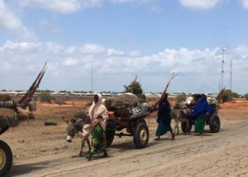 Somalia live news, Somali news, Mogadishu live news, Humanitarian news