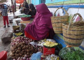 Somalia latest news, Somali live news, Mogadishu live news, Somali news