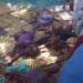 Somalia live news, Somali live news, Radio Ergo news, Humanitarian news, Somali news