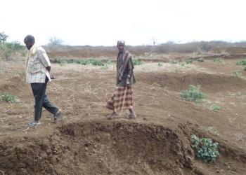 Somalia live news, Somali live news, Radio Ergo news, Humanitarian news, Somalia latest news