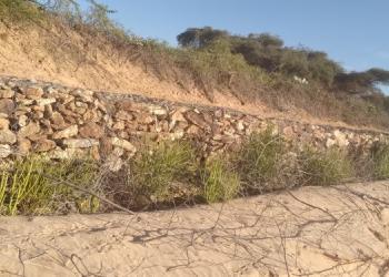 Somalia live news, Somali live news, Radio Ergo news, Humanitarian news