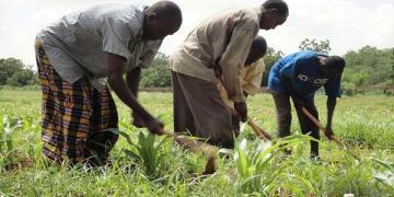 Hiran Farmers find relieve in Solar Power