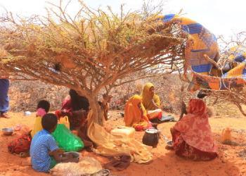 Families fleeing conflict face hard times in rural parts of Galgadud