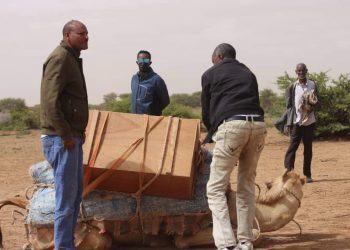 An alternative education programme in Ethiopia’s Somali Region aimed at keeping nomadic children in school allows them to continue their classes whilst supporting their pastoralist families with their chores. Camels carry the learning materials to where the communities settle.
