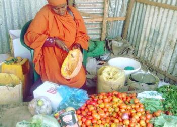 Dhoobley: Haween laga caawiyay billaabida ganacsiyo yaryar oo nolosha qoyskooda isbeddel u keenay