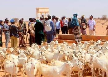 Deegaanka Qalwo ee gobolka Bari oo ceel-biyood baahi wayn loo qabay laga hirgeliyay