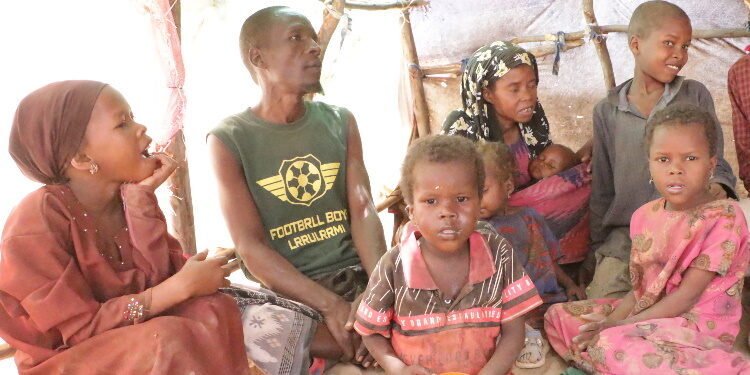 Dhadhaab: Qoysas ka soo qaxay Soomaaliya oo xeryaha ku wajahaya dhibaato dhanka nolosha ah