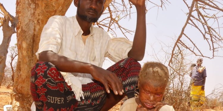 Doolow: Qoysaska ka soo barakacay colaad iyo sicir barar oo cunto yari iyo hoy la’aan ay ku haysato xerada Qurdubey