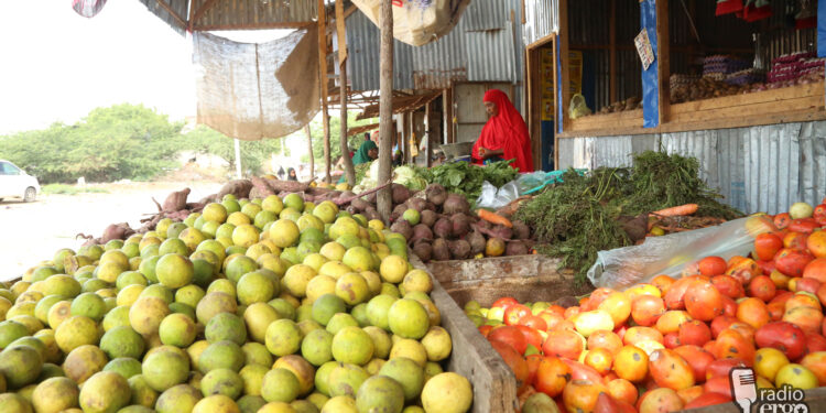 Afgoye vegetable farmers facing hard times