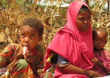 Beeraleyda deegaanada ku hareeraysan webiga Shabeelle ee ka soo barakacay colaadda oo cunno iyo hoy la’aan ku wajahaya xero ku taala magaalada Beledweyne