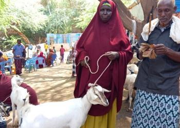 Haween dallaal ka ah suuqa xoolaha Luuq oo ku filanaaday nolosha iyo waxbarashada carruurtooda