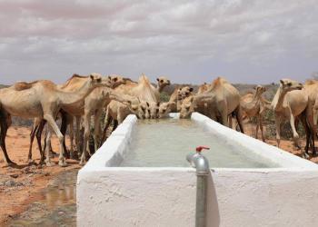 Galmudug: kumanaan qoys oo ku oon-baxay warbiyoodyo laga hirgaliyay deegaanadooda