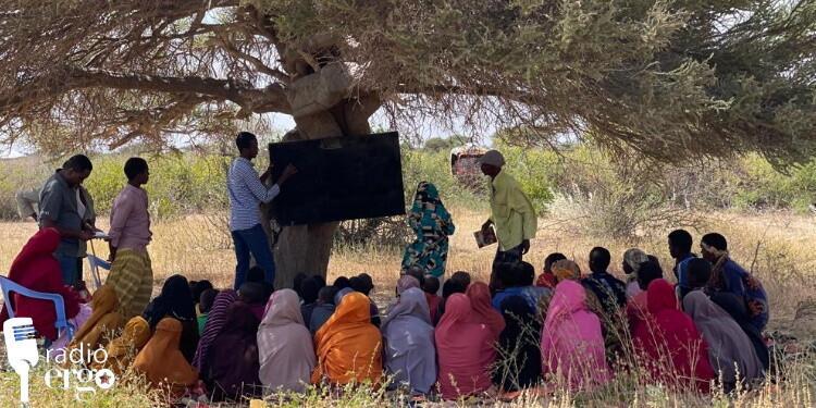 Hiiraan: Carruur ka soo jeeda qoysas danyar ah oo deegaannadooda ku helaya waxbarasho bilaash ah