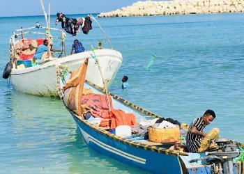 Boosaaso: Kalluumeysato qalab la’aan ay hayso oo ka cabanaya qasaare soo gaara kalluunka ay badda kala soo baxaan