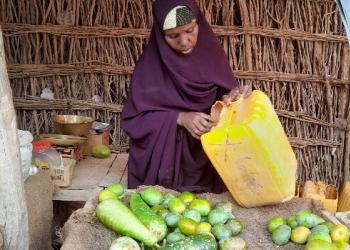 Baardheere: Nolosha oo ku adag qoysaska ay ka soo jeedaan haweenka khudaarta iibiya