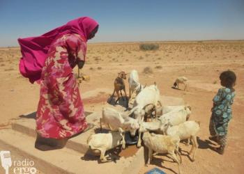 Nugaal: Reer guuraa ay nolol xumo ku hayso tuulada Doonta oo ay ku xayiran yihiin