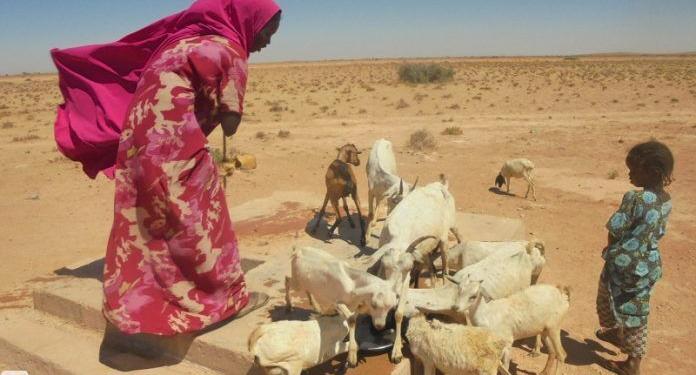 Stranded pastoralists regret migrating to Nugal village