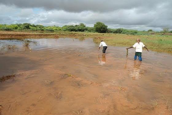 Jarar: Beeraley wajahaya dhaqaale xumo iyo rajo beel markii uu daad ka burburiyay beerro u tacbanaa iyo guryihii ay ku noolaayeen