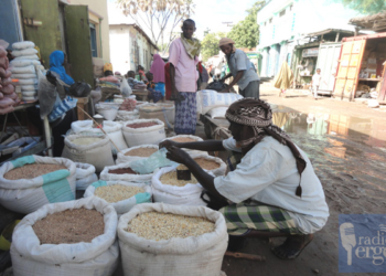 Bay: Qiimaha raashinka lagu iibiyo Baydhabo oo hoos u dhacay markii dalag badan ay suuqa galiyeen beeraleyda