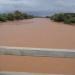 Burao farmers want government to invest in irrigation system